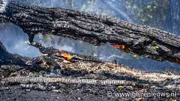 Bosbrand opgeschaald naar zeer grote brand