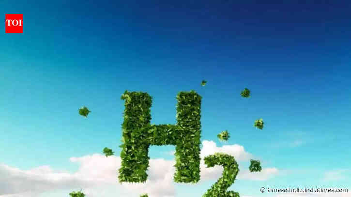 India's renewable energy boom could make Germany a customer for green hydrogen