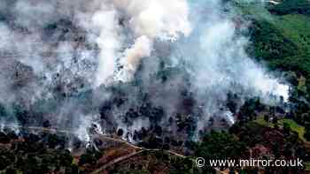 Suffolk wildfire live: Hundreds evacuated from Dunwich Heath in 'major incident'