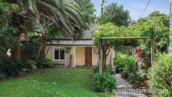 Squatter's rights claim looks set to be approved over prime property in ritzy Sydney beachside suburb of Mosman