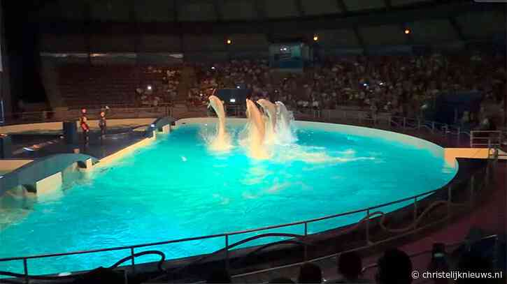 Het Dolfinarium in Harderwijk bestaat 60 jaar: Een publiekstrekker van formaat