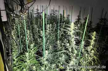 POL-LIP: Schieder-Schwalenberg. Cannabis-Plantage entdeckt.