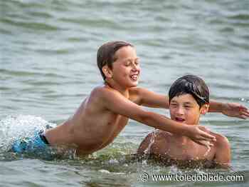 Residents asked whether Maumee Bay State Park beaches are clean enough