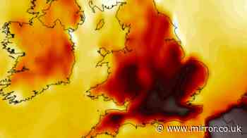 UK weather maps show new 34C heatwave within days as 15 counties hit 32C or more