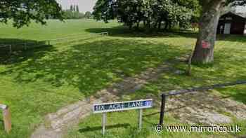 Teen 'seriously sexually assaulted' by masked man in terrifying UK park attack