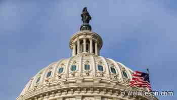Senate's Ali Act gives boxers negotiation time