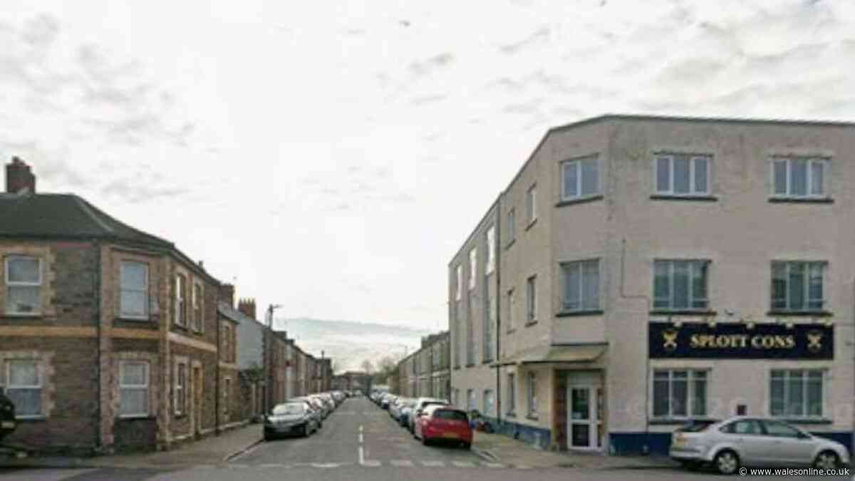 Man taken to hospital after fight breaks out on Cardiff street