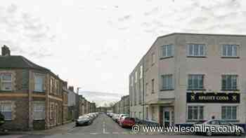Man taken to hospital after fight breaks out on Cardiff street