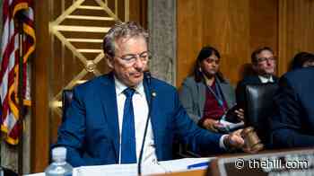 Rand Paul surprised Fauci invoked Fifth Amendment despite immunity 