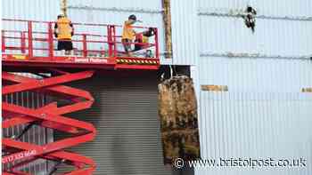 Work finally begins to create new arena at Ashton Gate