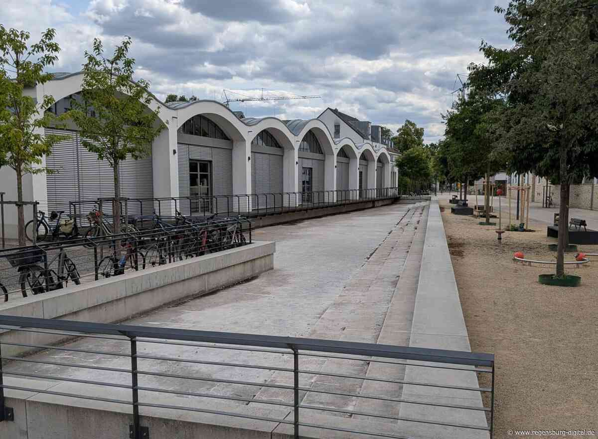 Betonwüste statt „kühler Ort“: Eigentümer im Marinaquartier lassen Wasserbecken seit Jahren leer – trotz Rechtspflicht