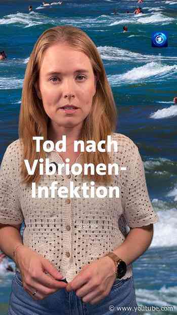 Das musst du über die Vibrionen-Infektionen wissen