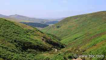 The defiant walk that changed Britain