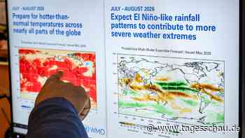 El Niño und Waldbrände: Warum die Feuergefahr steigt