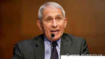 Anthony Fauci pleads the Fifth over 100 times in bizarre Senate spectacle