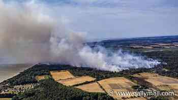 'Out of control' Suffolk wildfire near Sizewell grows ten times bigger in a matter of hours as hundreds of holidaymakers are evacuated - while firefighters insist there is 'no risk' to nuclear power station