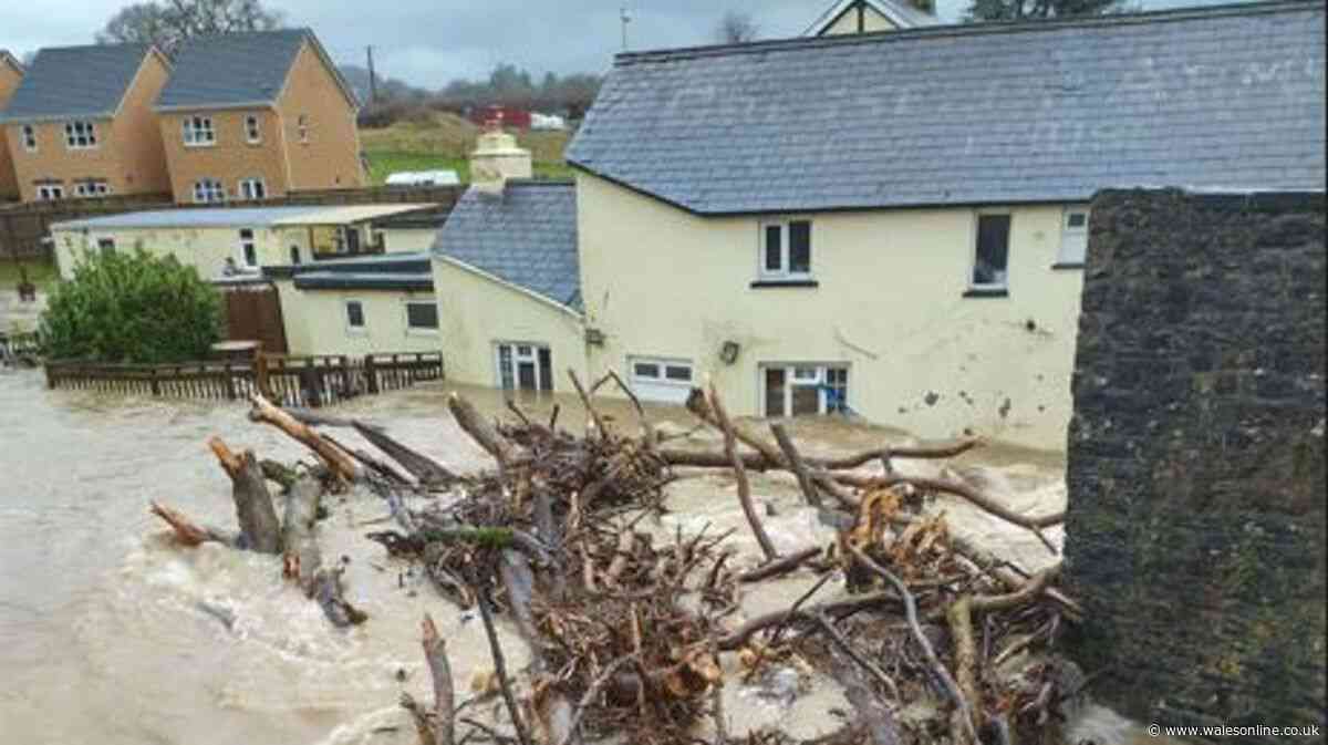 Houses and pub ruined by floods every winter could be saved by river plan