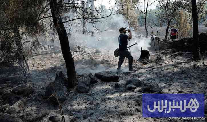 حرائق جديدة تندلع في غابات إسبانيا