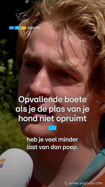 Opvallende boete als je de plas van je hond niet opruimt | RTL Nieuws