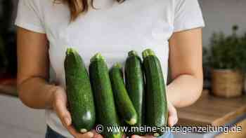 Wenn der Garten zur Zucchini-Fabrik wird: Wohin mit der Ernte?