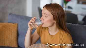 How much water should you drink in a heatwave? Four experts all give same advice