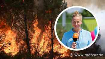 Horror im Frankreich-Urlaub: Andrea Kiewel flieht nachts im Mietwagen durch Flammen
