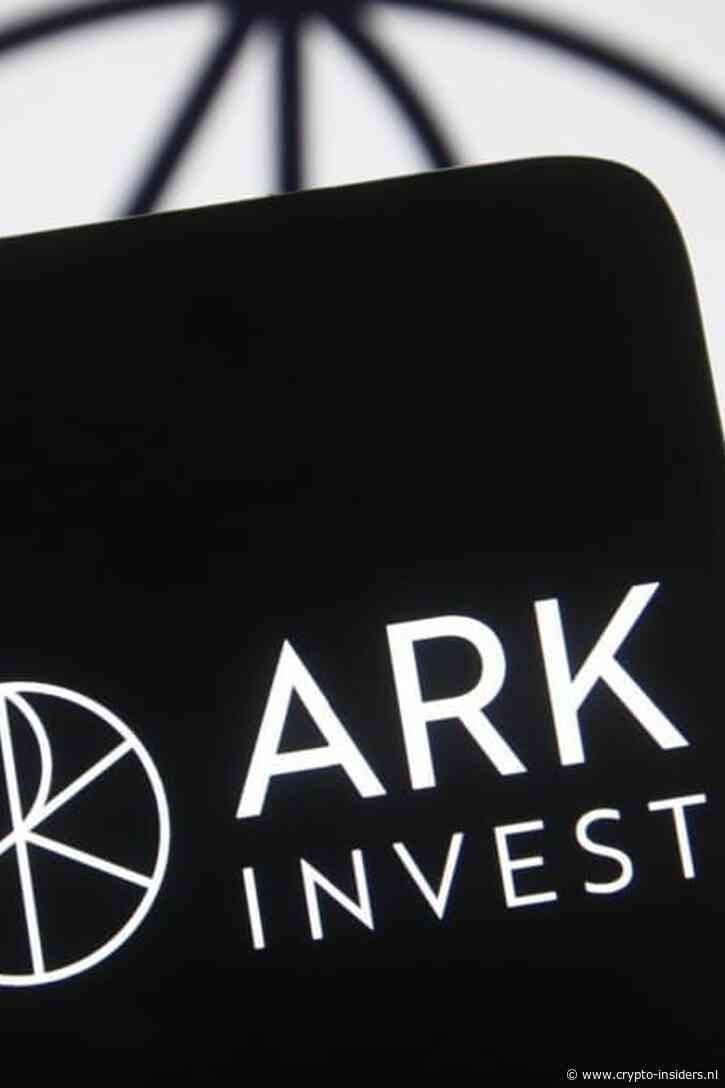 Ark Invest: 'grootste schoonmaak ooit schudt cryptomarkt op'