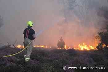 Holiday park evacuated during Suffolk wildfire, as power station monitors blaze