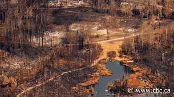 Ontario ministers provide update as wildfires burn in province's northwest
