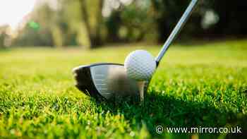 Armchair experts say they could take on golf pro - and score premier league goal