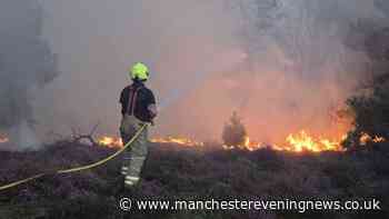 UK holiday park evacuated due to raging Suffolk wildfire as major incident declared