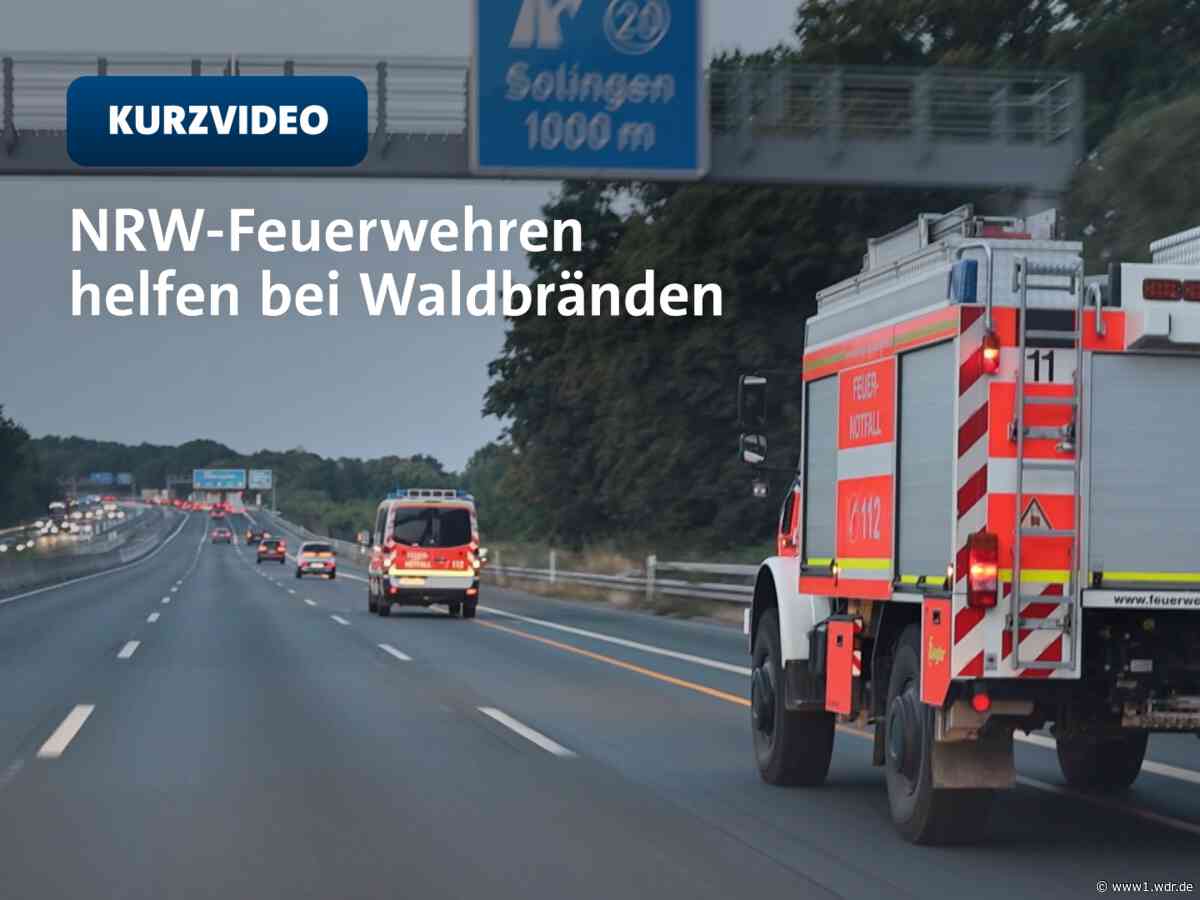 NRW-Feuerwehren helfen bei Waldbränden in Spanien