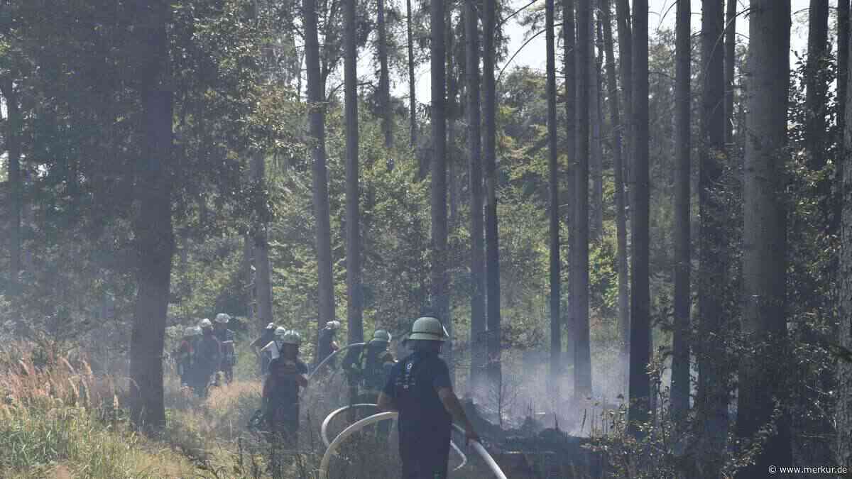 Waldbrand bei Egmating: 80 mal 80 Meter stehen in Flammen
