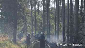 Waldbrand bei Egmating: 80 mal 80 Meter stehen in Flammen