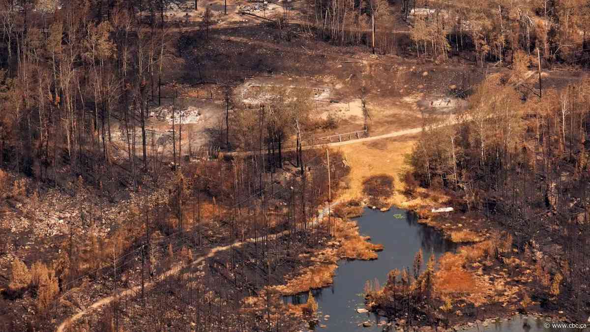Ontario ministers take questions as wildfires burn in northwest of province