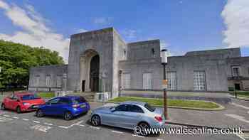 Woman found dead at friend's house in Swansea