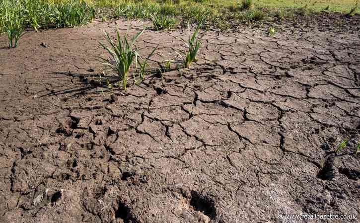 Farmers need reliable water supplies to protect food production, NFU warns