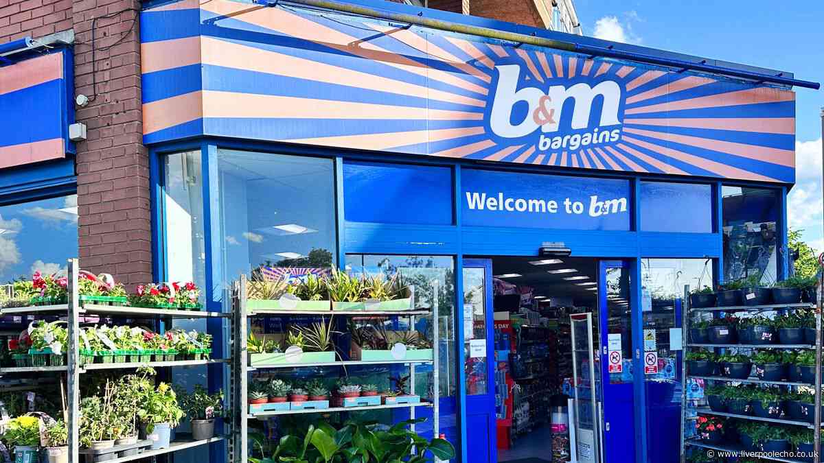 'Bathrooms stay organised' with B&M's 'useful' £12 'space saving' accessory