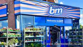 'Bathrooms stay organised' with B&M's 'useful' £12 'space saving' accessory