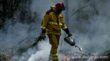Villagers hit by Bordeaux inferno feel 'abandoned' as fire crews protected 'tourists and the wealthy', JAMES FIELDING reports from southwestern France on Daily Mail's Deep Dive podcast