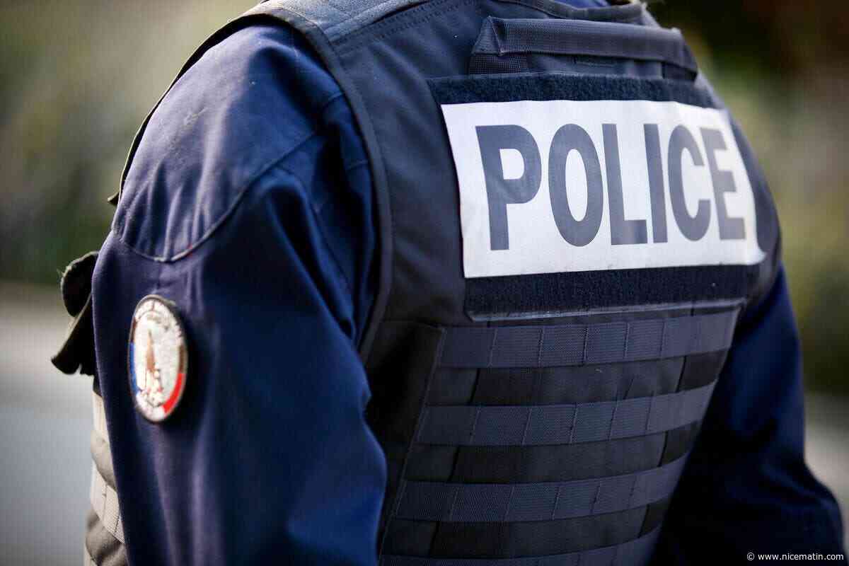 Un jeune homme de 20 ans décède après la chute d’un arbre dans un camping à Fréjus