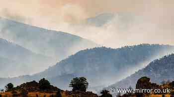 Construction worker accused of starting largest wildfire in Spain faces 10 years in jail