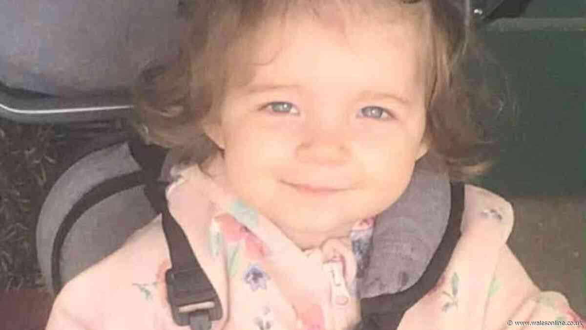 Two-year-old sexually abused and murdered by mum's boyfriend in 'campaign of violence'