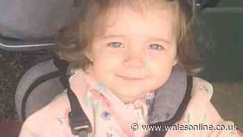 Two-year-old sexually abused and murdered by mum's boyfriend in 'campaign of violence'