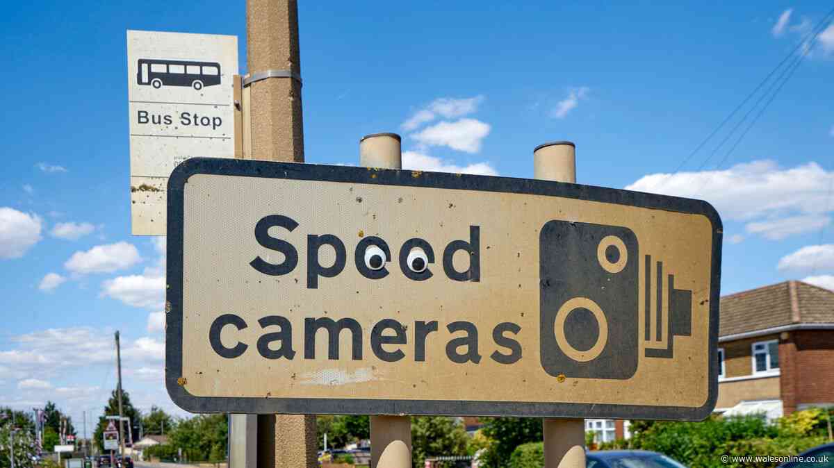Driver's speed camera gadget 'a licence lifesaver' that 'pays for itself in a week'