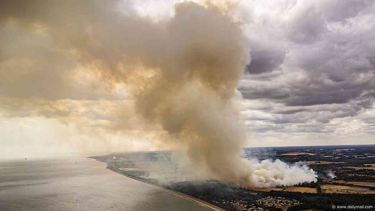 Scientists reveal what would happen if 'out of control' wildfires reach the Sizewell B nuclear power station