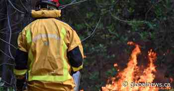 France lets 84K evacuees go home as wildfires spread across Europe
