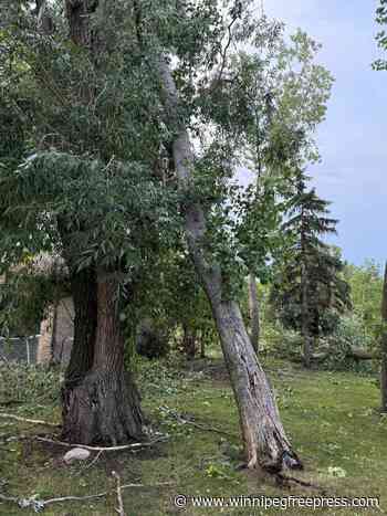 Thousands of Manitobans without power following storm