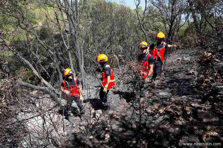 Incendie de Pontevès : une association de protection animale dépose plainte avec constitution de partie civile contre le pyromane présumé de 23 ans et réclame « de la prison ferme »