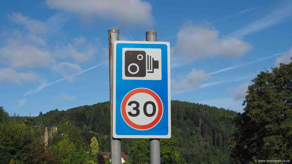 Driver's speed camera gadget 'a licence lifesaver' that 'pays for itself in a week'